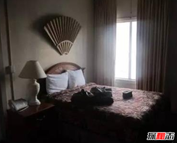 美國(guó)塞西爾酒店靈異事件,最普遍的自殺方式是跳樓(自殺圣地)