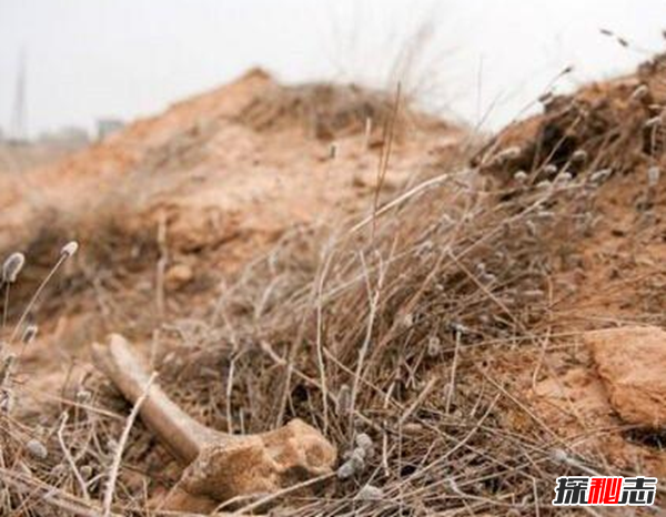 親身經(jīng)歷!安徽農(nóng)村真實(shí)靈異事件,夜晚鬼請(qǐng)醫(yī)為無(wú)上顎兒看病