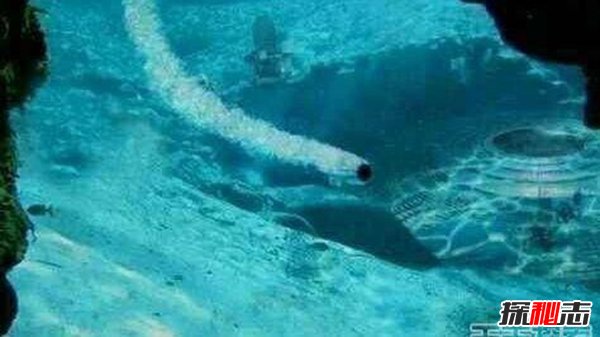 海底發(fā)現(xiàn)外星人基地,揭秘外星人的基地在哪里
