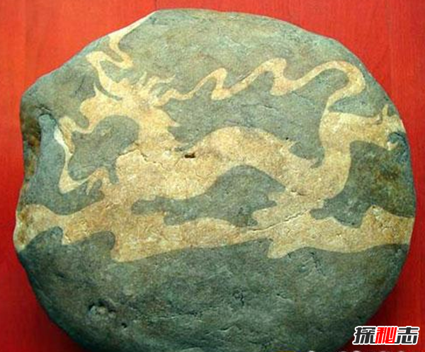 湖北林歸縣工地發(fā)現(xiàn)天然龍形石,圖案完整清晰(重307公斤)