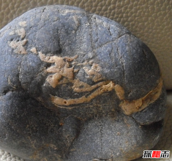 湖北林歸縣工地發(fā)現(xiàn)天然龍形石,圖案完整清晰(重307公斤)