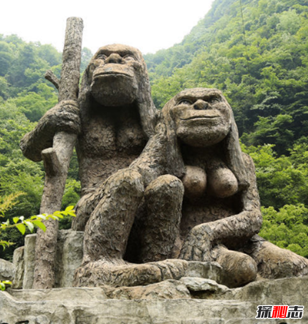 湖北神農(nóng)架動物白化之謎,黑色素引起的白化病(返祖白變)
