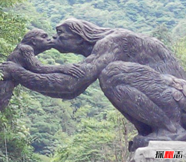湖北神農(nóng)架動物白化之謎,黑色素引起的白化病(返祖白變)